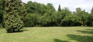 Berlin-Mariendorf (Bezirk Tempelhof), Friedhof „Zum Heiligen Kreuz“, Foto © 2009 Martina Rohde