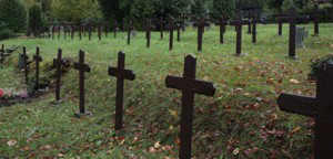 Greiz (Friedhof), Foto © 2009 Katja Kürschner