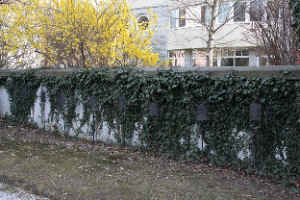 Innsbruck-Pradl (K.u.K. Miltärfriedhof), Foto © 2008 W. Leskovar