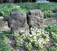 Offenburg (Alter Friedhof am Waldbach), Foto © 2009 Manfred Kels