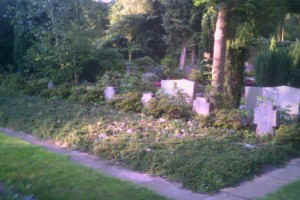 Dülmen (Waldfriedhof), Foto © 2009 Antonius Bödiger