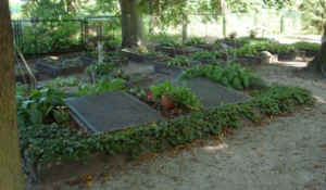 Märkisch Buchholz (Friedhof), Foto © 2009 Martina Rohde