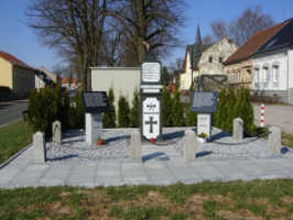 Eiche, Foto © 2010 Martina Rohde