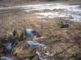 Forst-Berge (poln. Zasieki, 1870/71), Foto � 2010 Frank Henschel