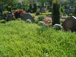 Rosendahl-Holtwick (Friedhof), Foto � 2009 anonym