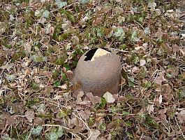 Beetzseeheide-Ketzür, Foto © 2010 Krüger