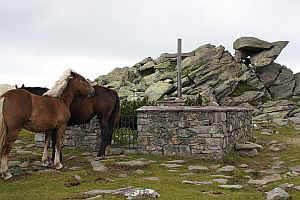 Mönichwald (am „Niederwechsel“), Foto © 2010 W. Leskovar