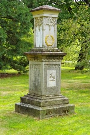 Celle (LangensalzaDenkmal), Landkreis Celle, Niedersachsen