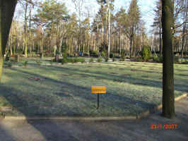 Berlin-Adlershof (Bezirk Treptow-Köpenick), Friedhof, Foto © 2007 Martina Rohde