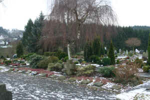 Birken-Honigsessen (Kriegsgräber), Foto © 2007 Gerd Bäumer