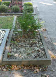 Blomberg, Foto © 2006 Gerhard Lübbers