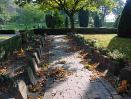 Elm, Foto © 2005 Karin Offen