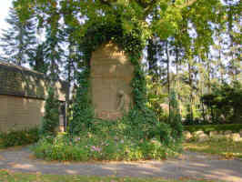 Elm, Foto © 2005 Karin Offen