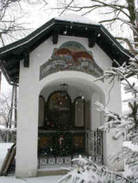 Erl, Foto © 2007 W. Leskovar