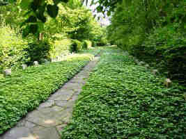 Lüneburg, Zentralfriedhof, Ehrenhain 2, Foto © 2004 Karin Offen
