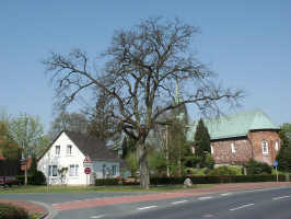 Sande (Friedenseiche), Foto © 2005 Walter Fleischauer-Wilhelmshaven