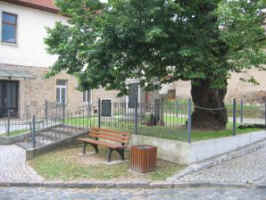 Saubach, Foto © 2007 Horst Portius