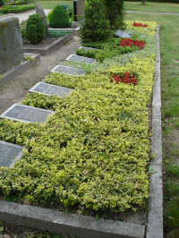 Telgte-Westbevern (Friedhof), Foto © 2007 Anonym