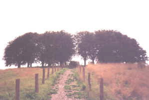 Gramzow-Lützlow, Foto © 1994 Joachim Wolters